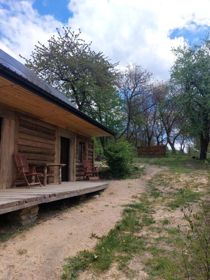 Agroturystyka Lipowewzgorze- Jas&Malgosia Tereszpol Exterior foto
